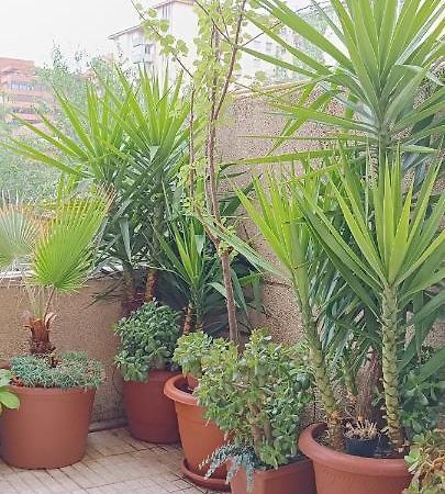 Apartamento Príncipe Cáceres Exterior foto