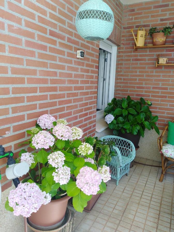 Apartamento Príncipe Cáceres Exterior foto