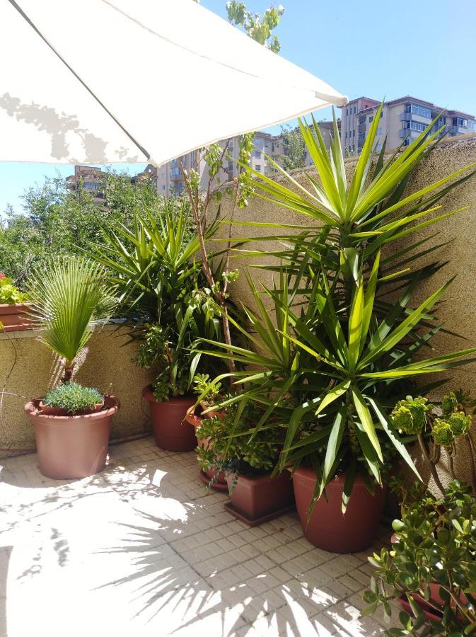 Apartamento Turistico Principe Caceres At-Cc-00415 Cáceres Exterior foto