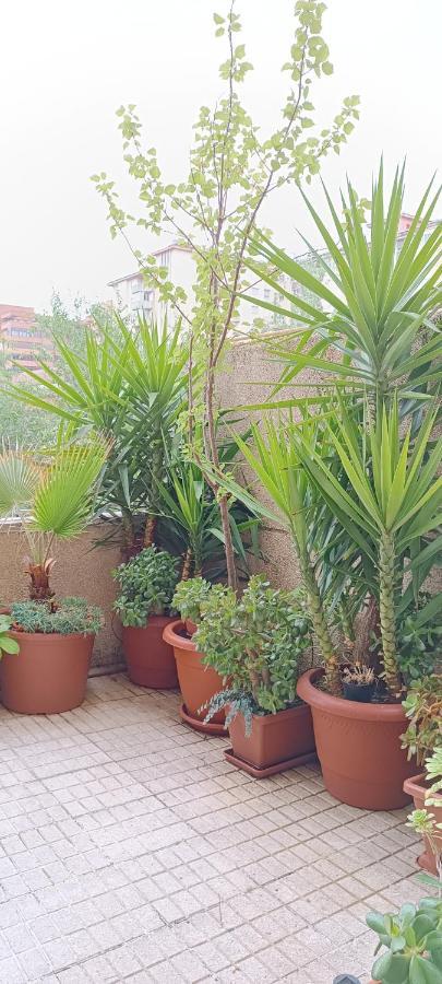 Apartamento Príncipe Cáceres Exterior foto