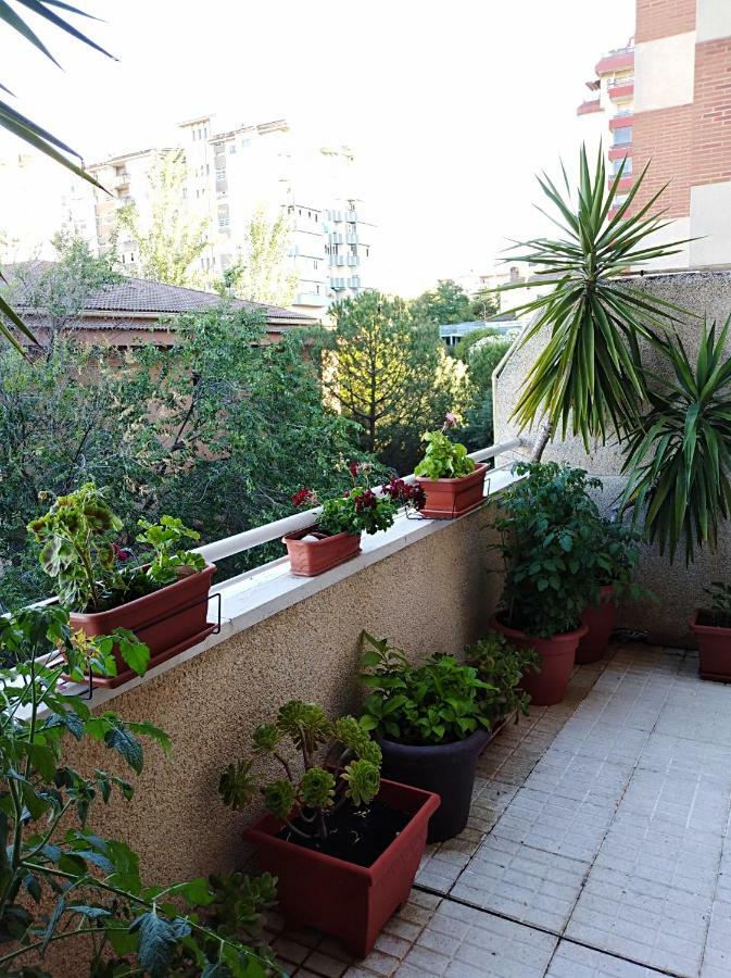 Apartamento Príncipe Cáceres Exterior foto